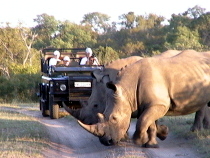 Kruger National Park
