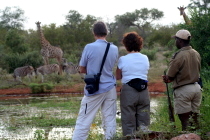 Kruger Park Safaris