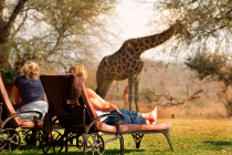 Kruger National Park Tours