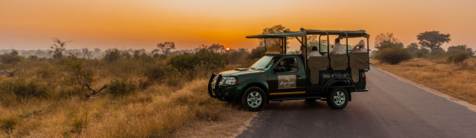 Game viewing at Kruger Gate Hotel